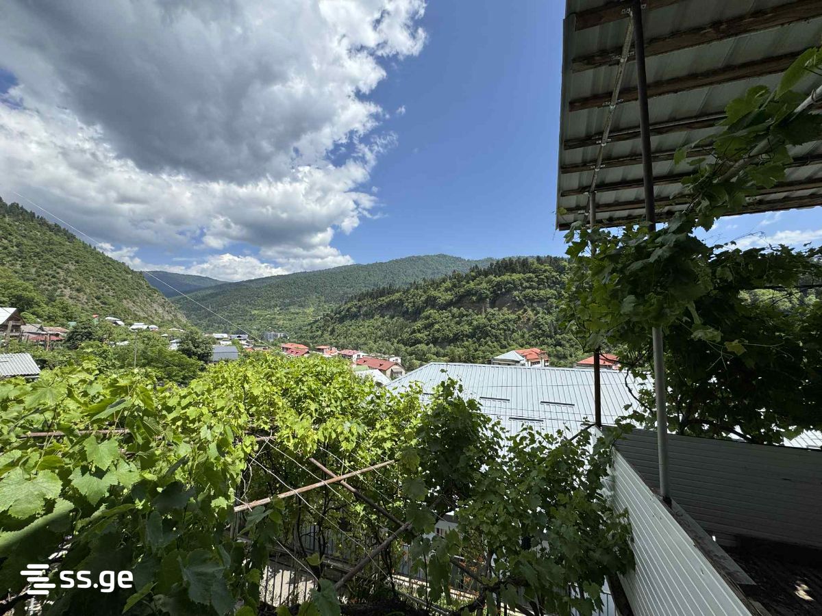 იყიდება Private House ბორჯომიში view 2