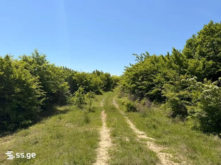 Land For Sale. Saburtalo view 3