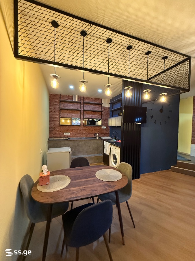 2 room Flat Daily rent. Vedzisi - Vista 4