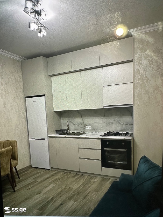 2 Room Flat For Rent. Kutaisi view 2