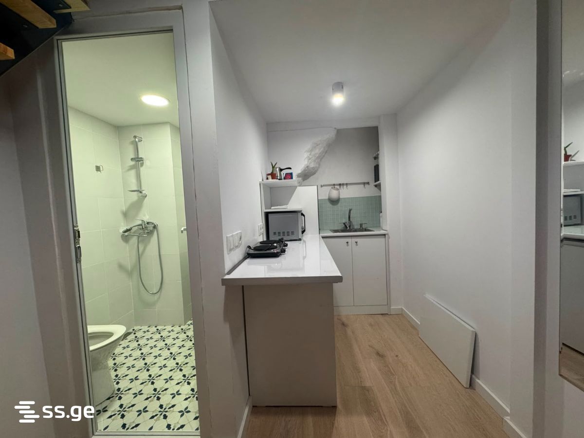 1 Room Flat For Rent. Chugureti, 3 of 4