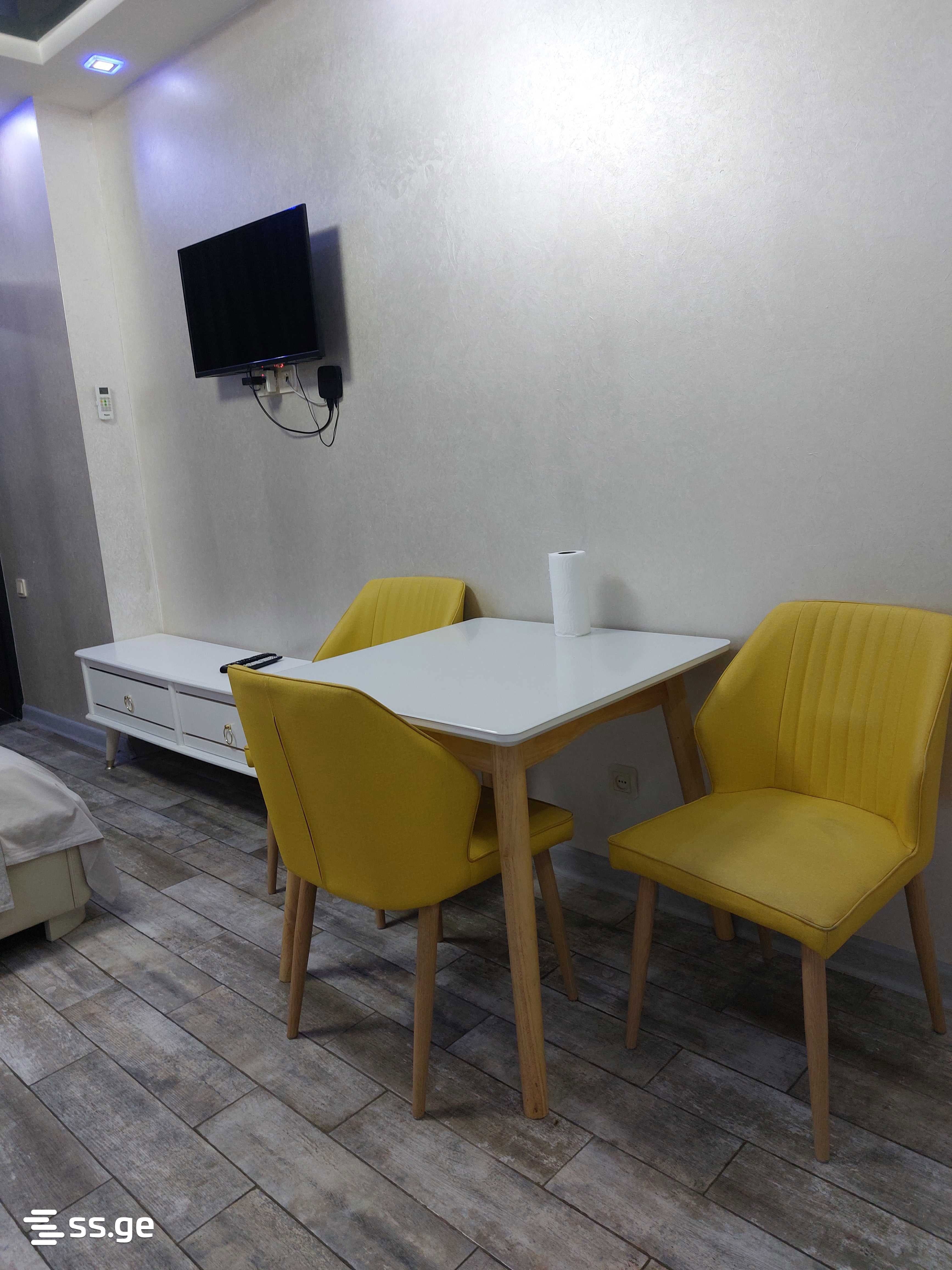 1 Room Flat Daily Rent. Batumi view 3