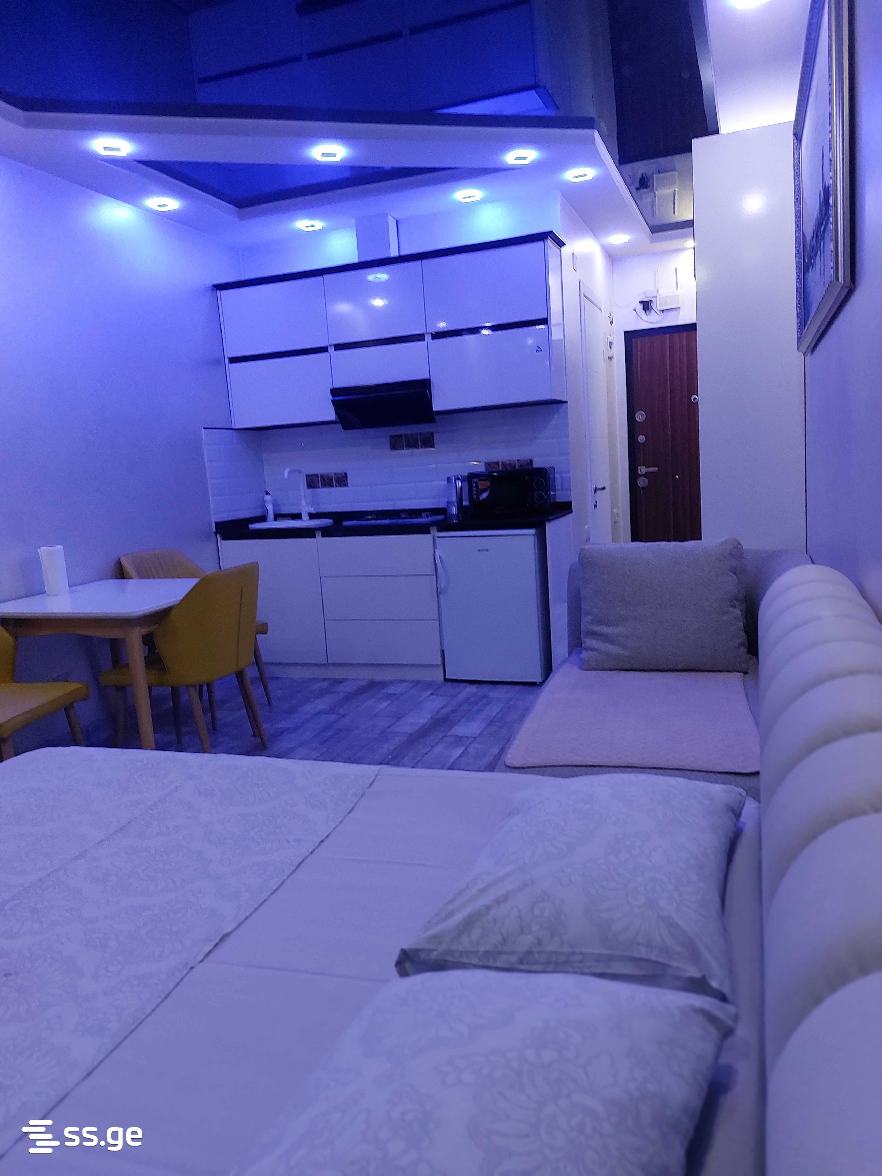 1 Room Flat Daily Rent. Batumi view 2