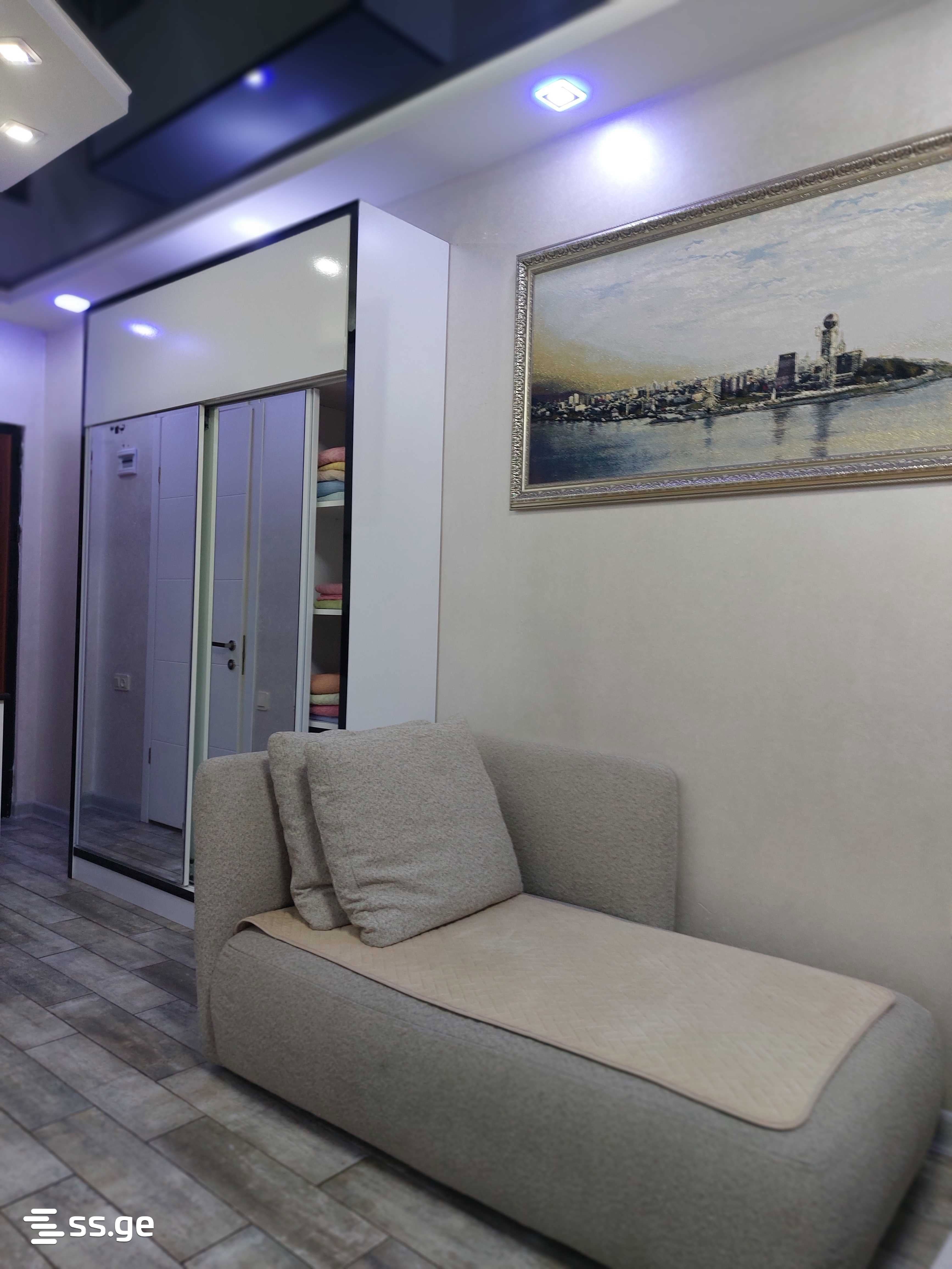 1 Room Flat Daily Rent. Batumi view 1