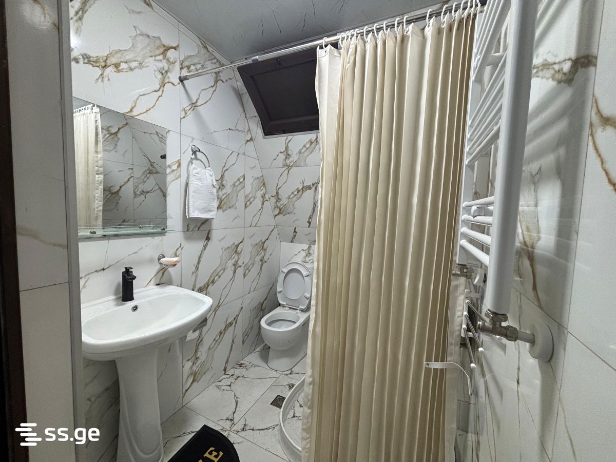 2 Room Private House Daily Rent. Batumi view 9