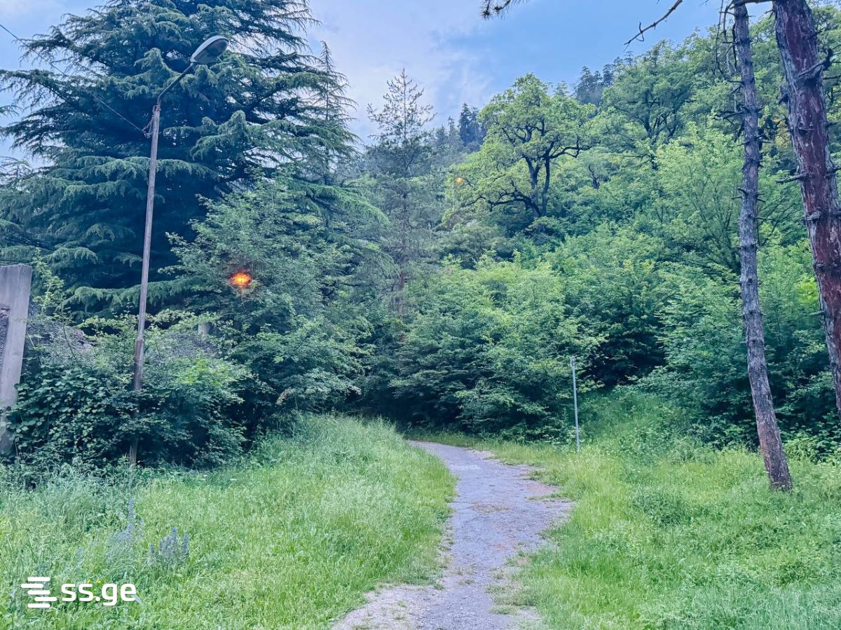 1 Room Flat Daily Rent. Borjomi view 8