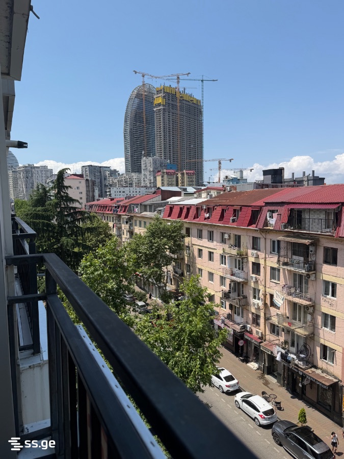 1 Room Flat Daily Rent. Batumi view 12