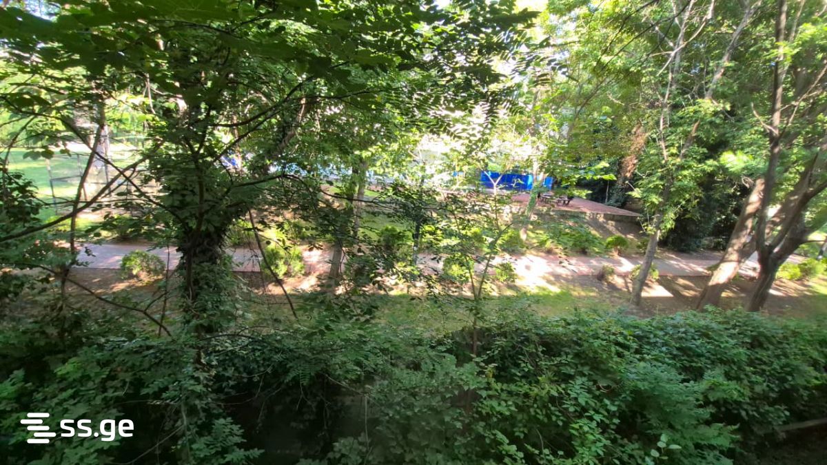 Land For Sale. Nadzaladevi, 4 of 4