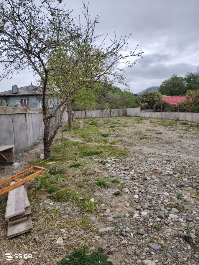 Land For Rent. Batumi view 2