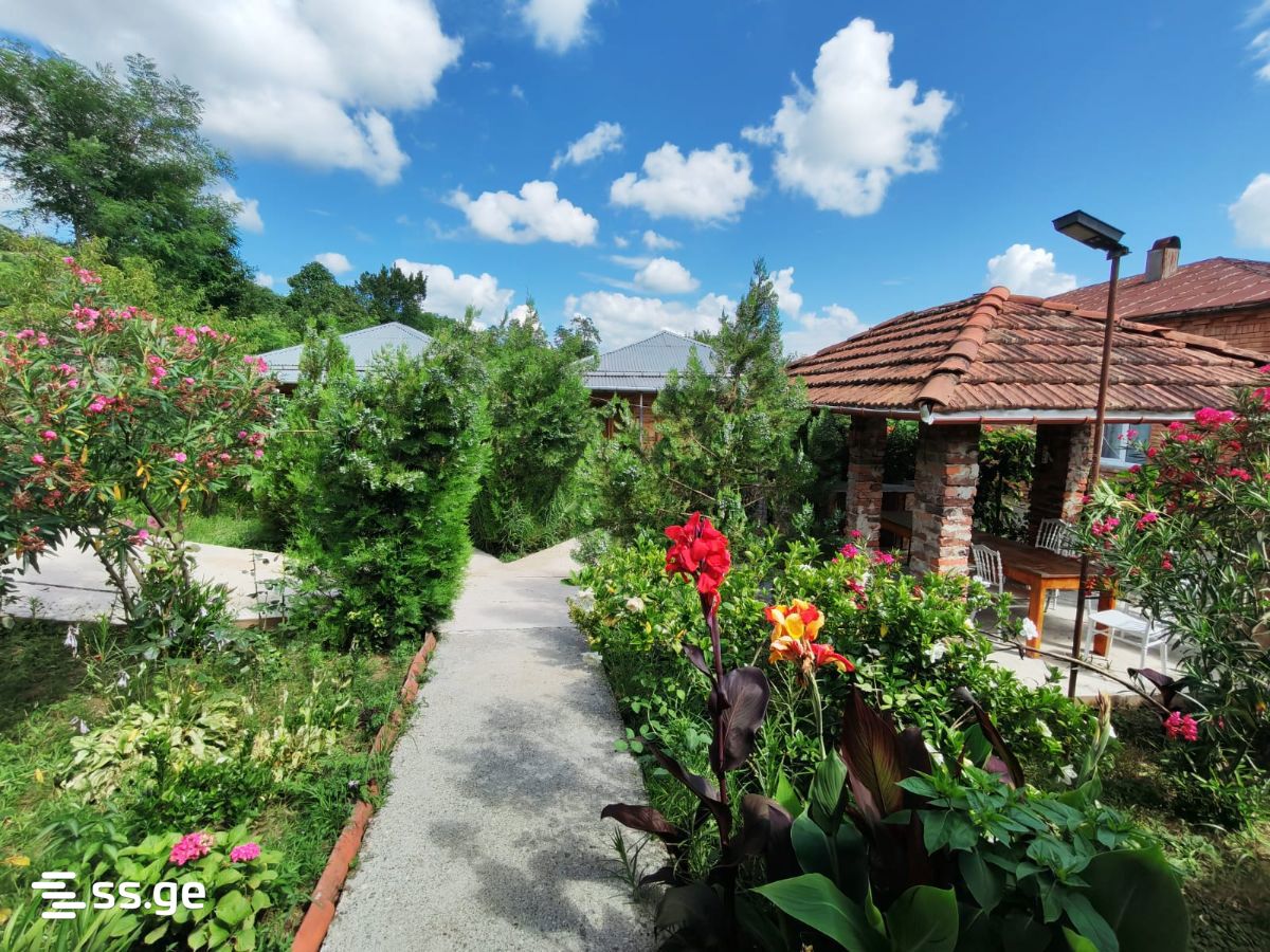 6 Room Private House Daily Rent. Tskaltubo view 6