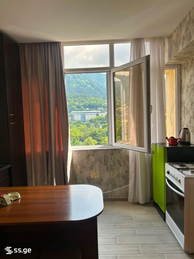 1 Room Flat Daily Rent. Borjomi view 9