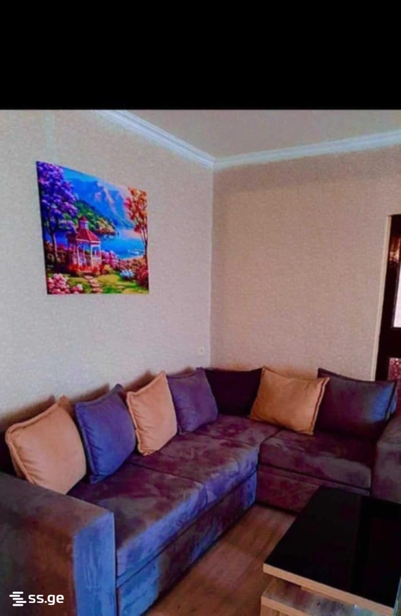 1 Room Flat Daily Rent. Rustavi, 2 of 4