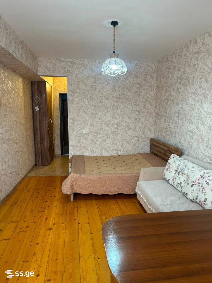 1 Room Flat Daily Rent. Borjomi view 1
