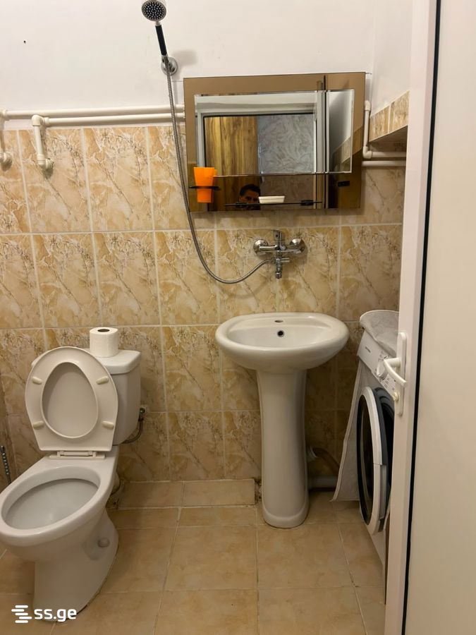 1 Room Flat Daily Rent. Borjomi view 5