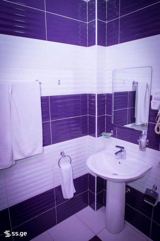 13 Room Hotel For Rent. Varketili view 7