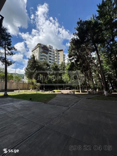 https://static.ss.ge/20260711/3_f3f38a93-f412-4e53-bda9-2a8a99e44b08_Thumb.jpg