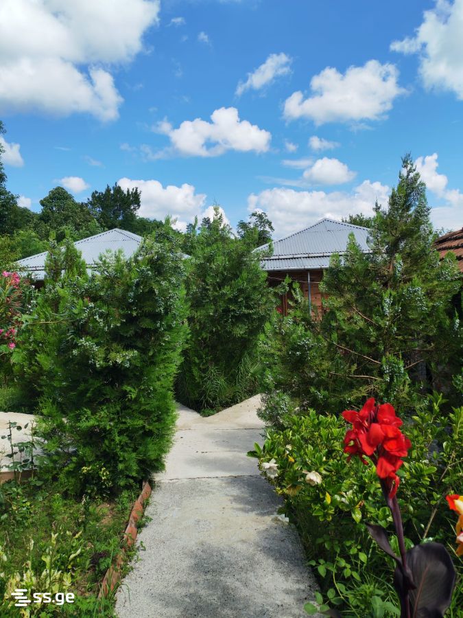 6 Room Private House Daily Rent. Tskaltubo view 15