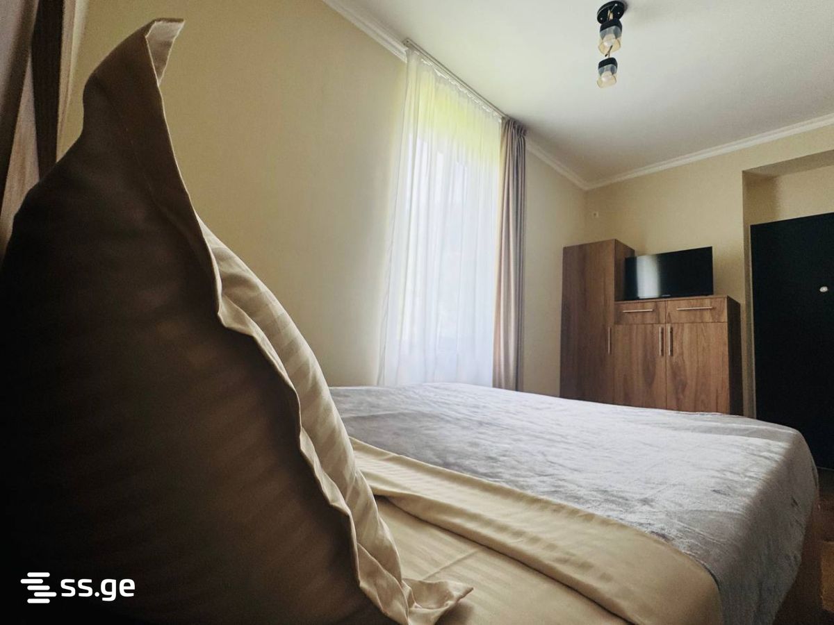 1 Room Flat Daily Rent. Borjomi view 4