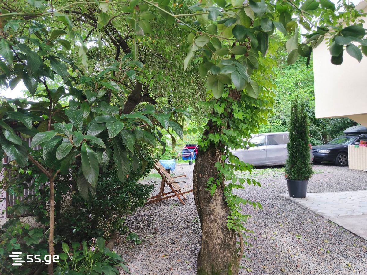 5 Room Private House Daily Rent. Qala view 12