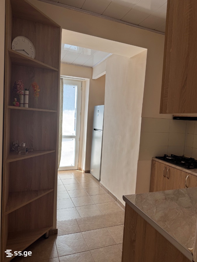 2 Room Flat Daily Rent. Rustavi view 2