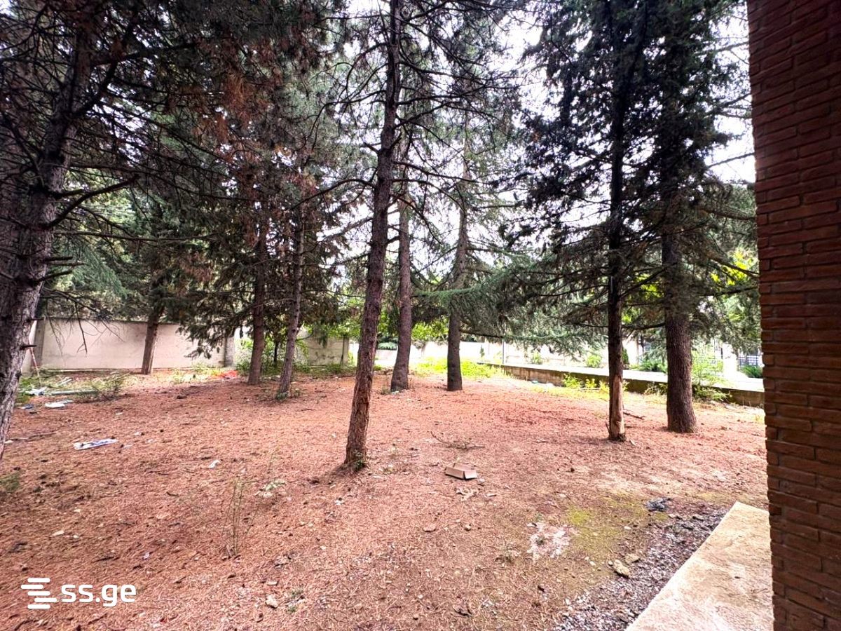 6 Room Summer Cottage For Sale view 4
