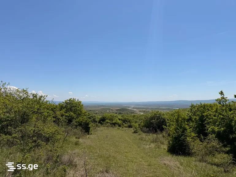 Land For Sale. Saburtalo view 12