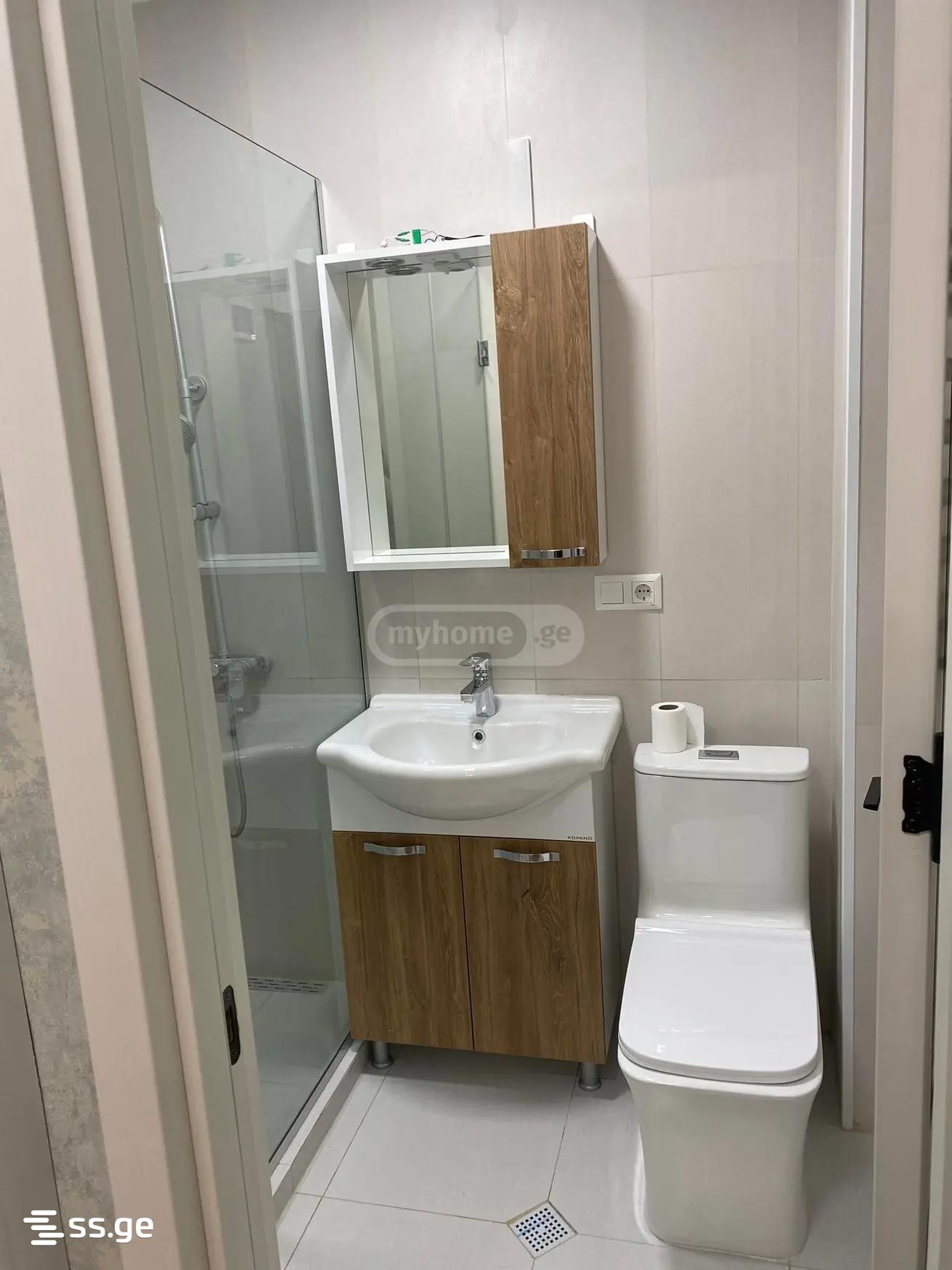 3 room Flat For Rent. Didi digomi - Widok 3