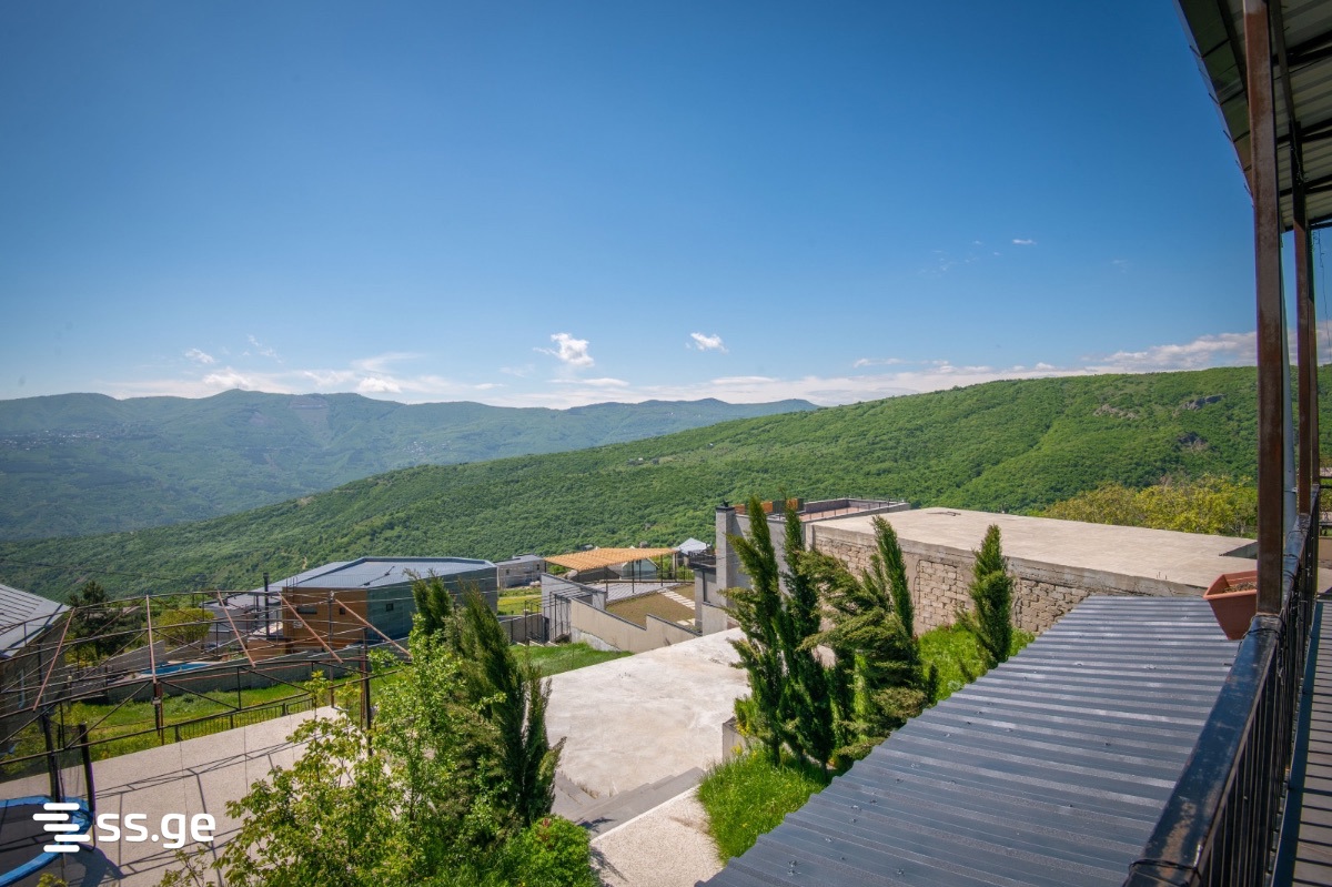 7 Room Private House For Rent. Napetvrebi view 12