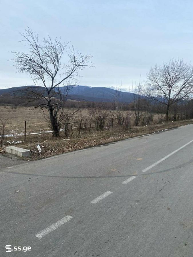 Продажа Земля / участок в Tianetis Munitsipalitetshi view 9