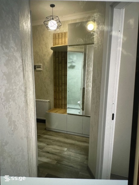2 Room Flat For Rent. Kutaisi view 1
