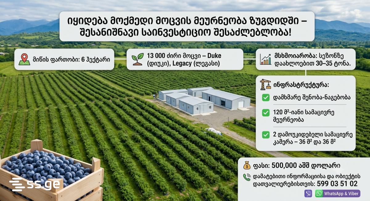 Продажа Земля в Зугдиди view 1