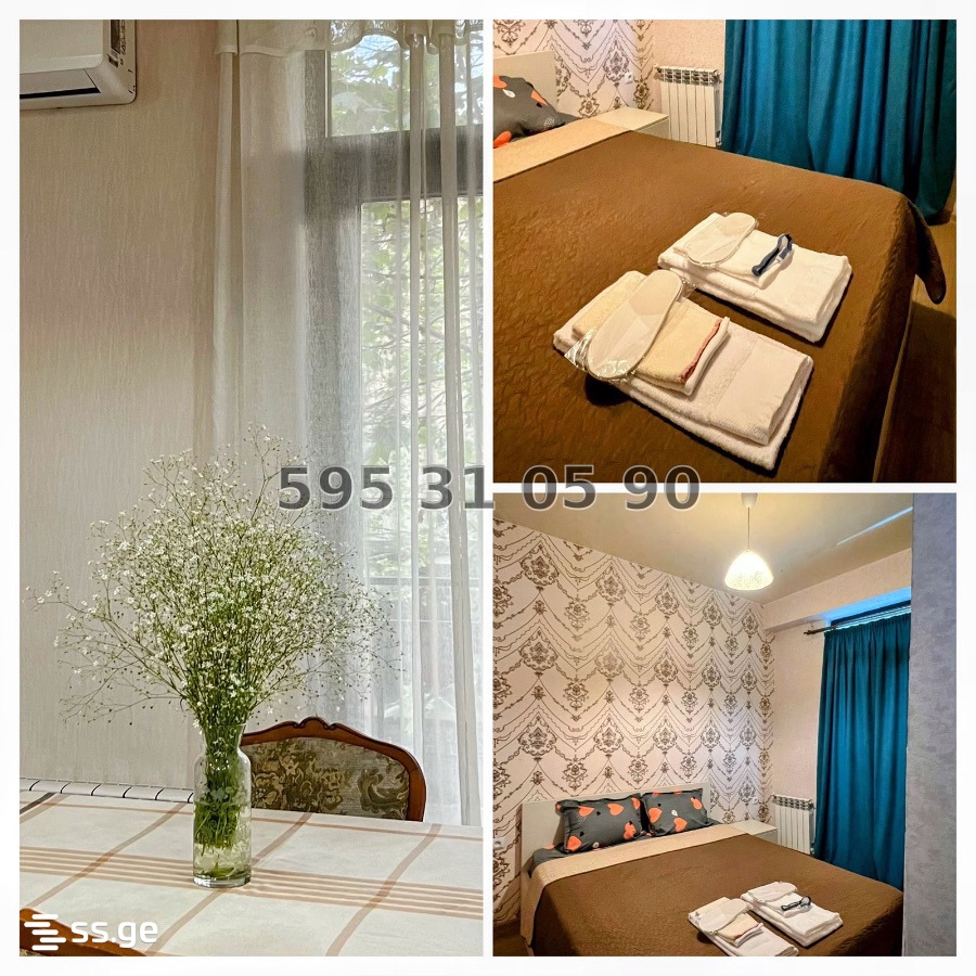 2 Room Flat Daily Rent. Nadzaladevi, 2 of 4
