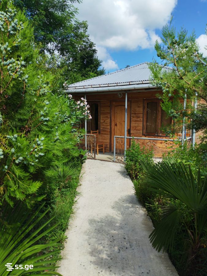 6 Room Private House Daily Rent. Tskaltubo view 9