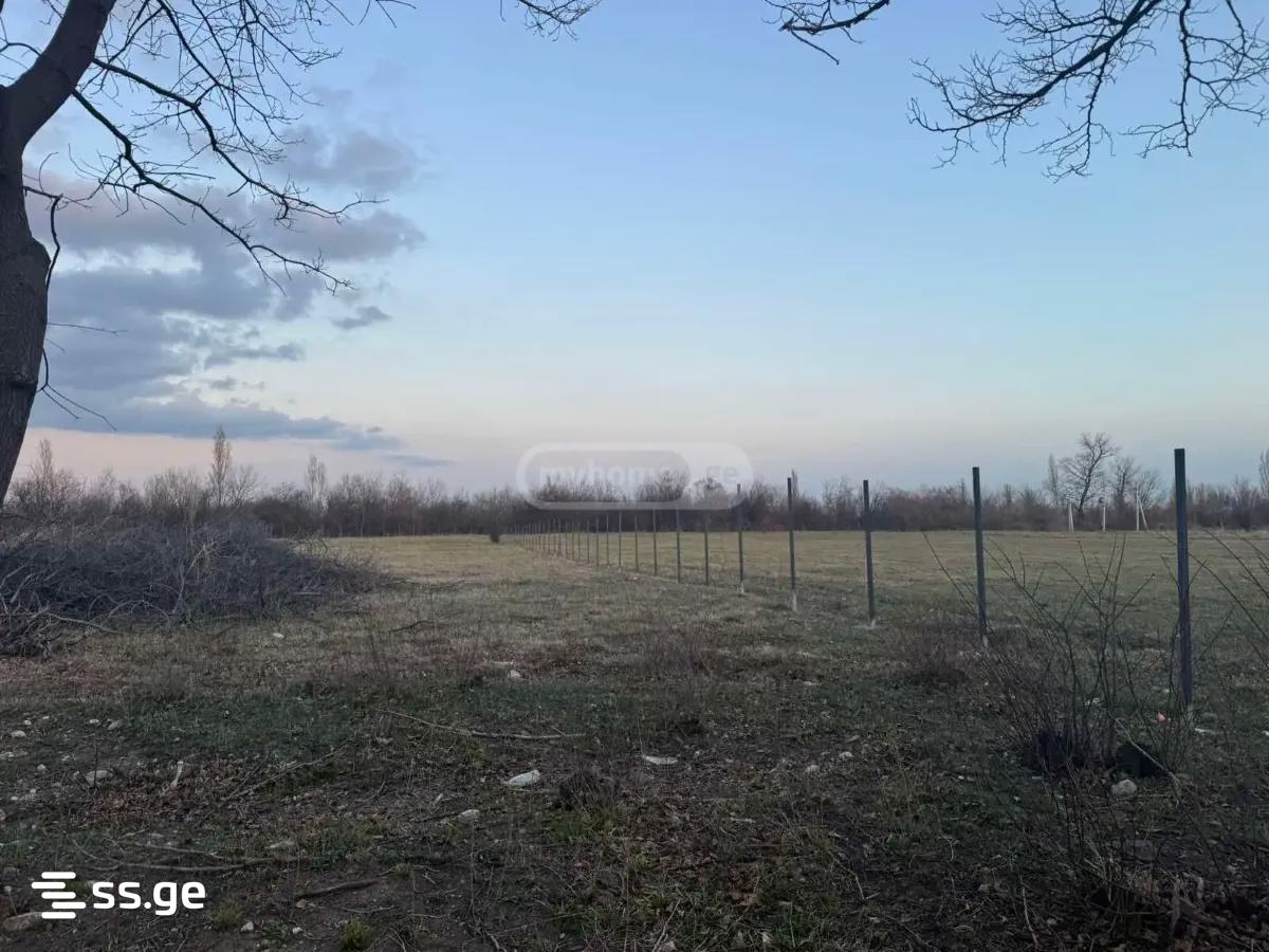 Продажа Земля в гамарджвеба view 1
