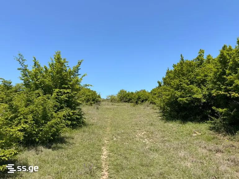 Land For Sale. Saburtalo view 8