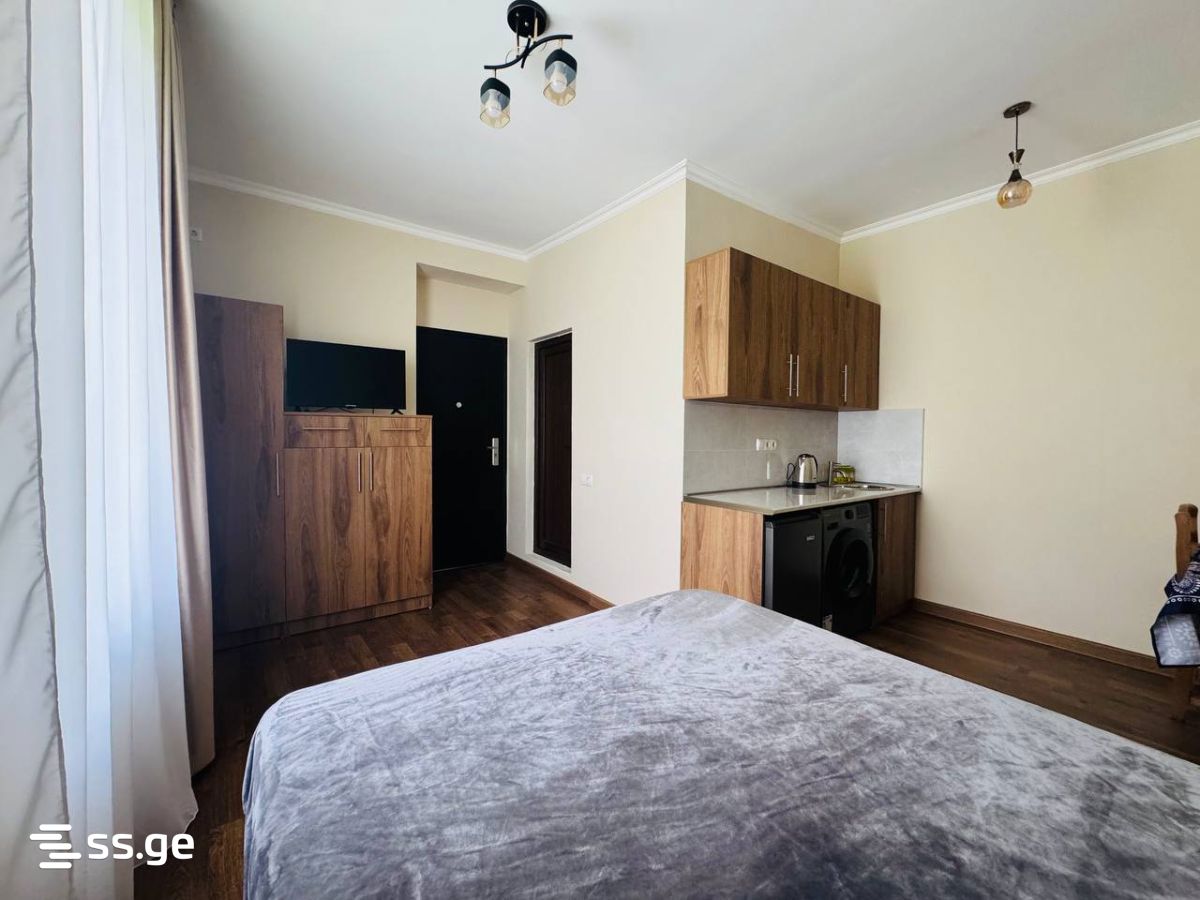 1 Room Flat Daily Rent. Borjomi view 1