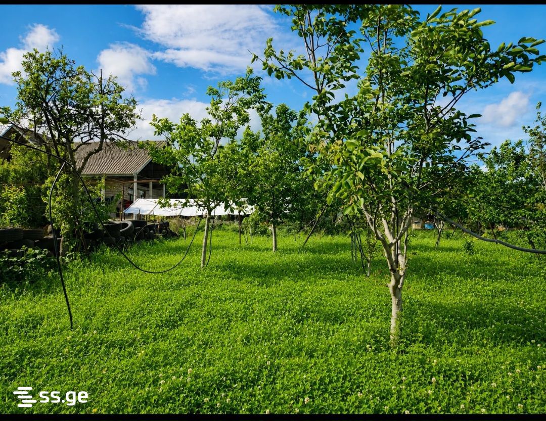 იყიდება 3-ოთახი Summer Cottage view 11