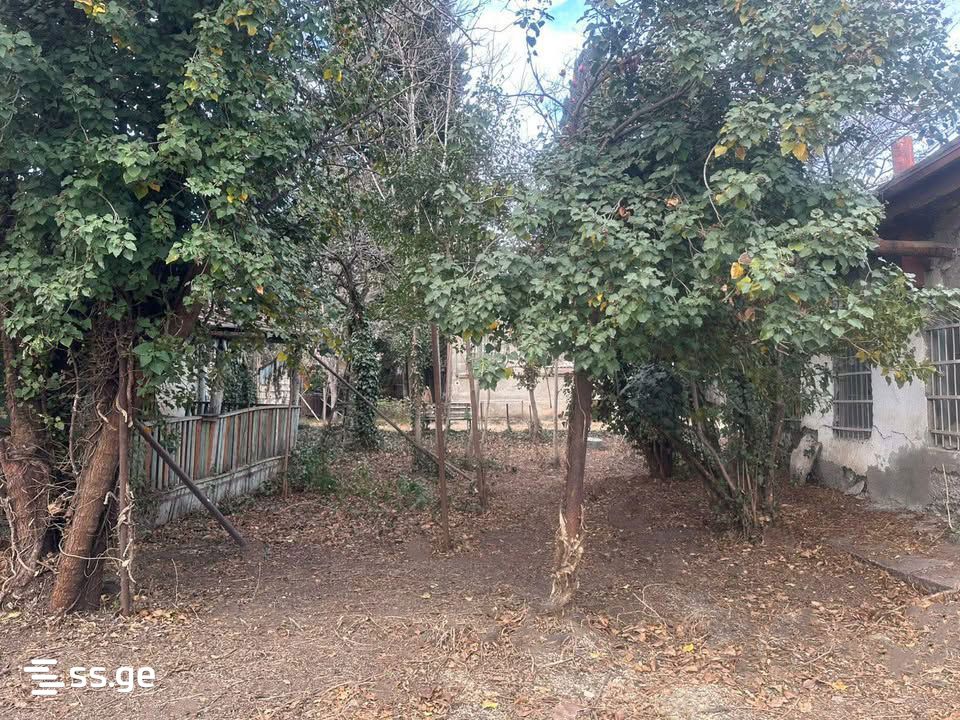 Land For Sale. Isani, 3 of 4