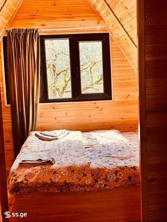 Summer Cottage Daily Rent. Borjomi view 10