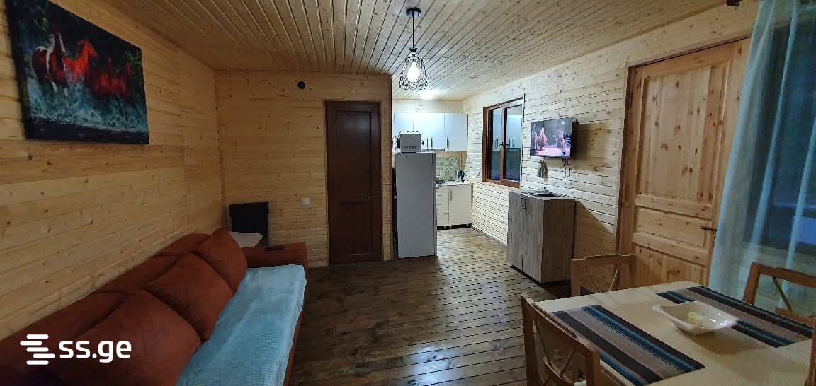 2 Room Private House Daily Rent. Manglisi view 3