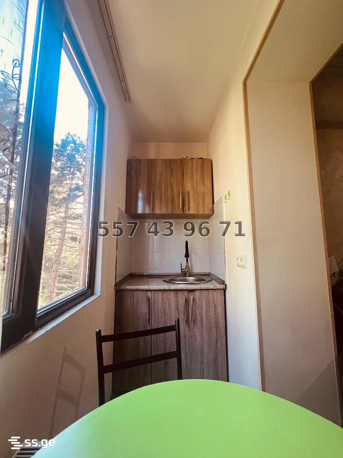 3 Room Flat Daily Rent. Borjomi view 7