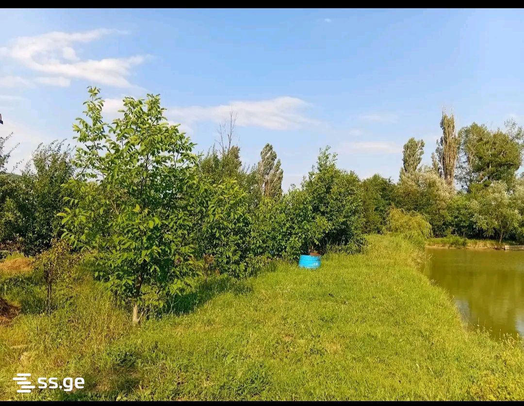 Land For Sale. Tsilkani view 7