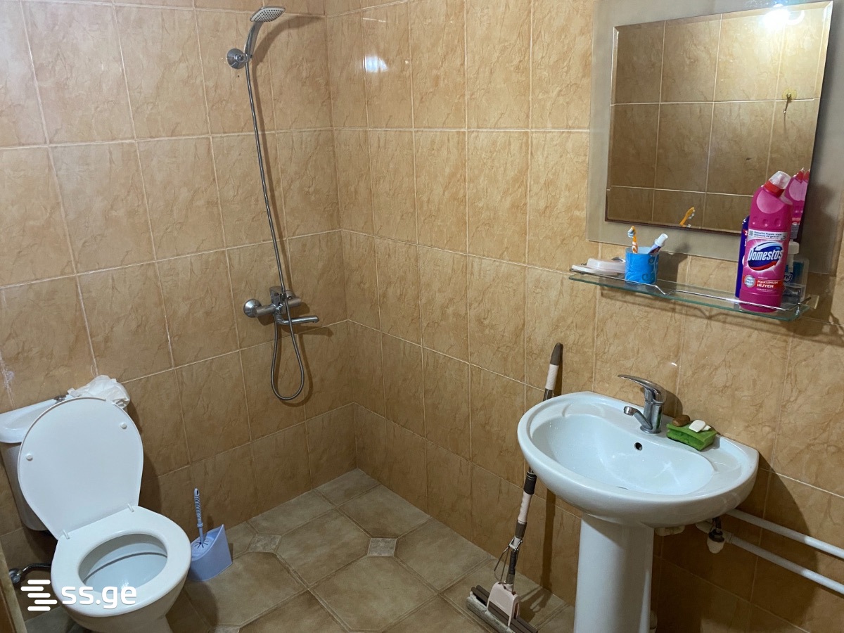 2 Room Private House Daily Rent. Batumi view 5