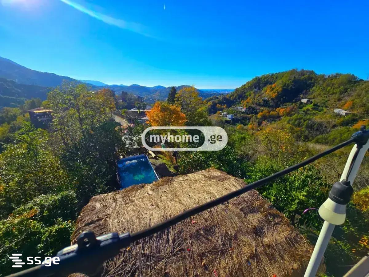 2 Room Summer Cottage Daily Rent. Batumi view 8