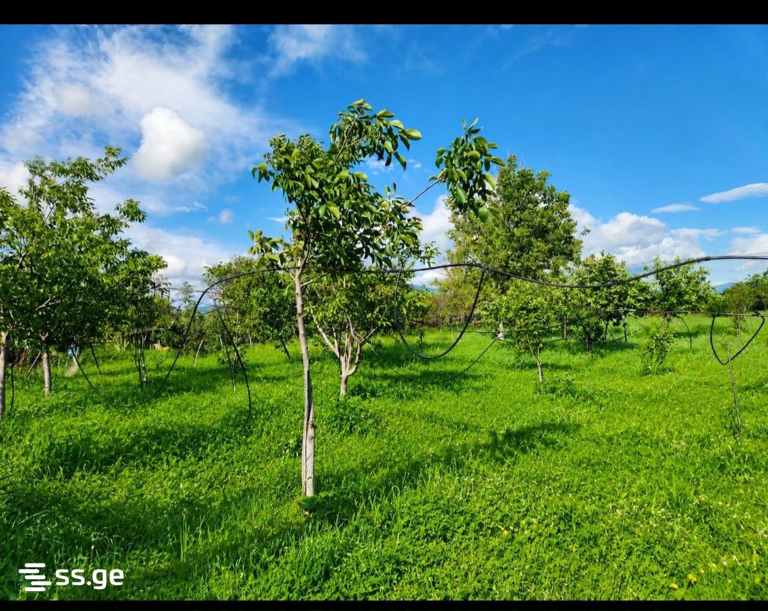 იყიდება 3-ოთახი Summer Cottage view 1