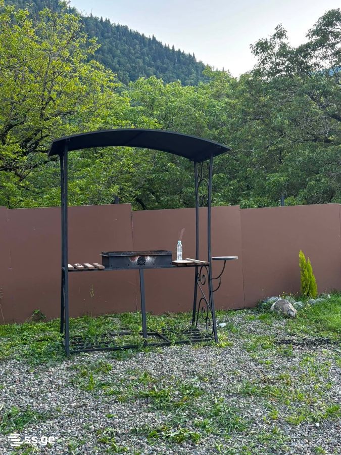 Summer Cottage Daily Rent. Borjomi view 15