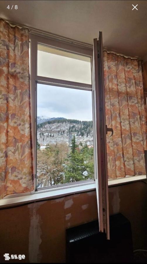 1 Room Flat For Rent. Borjomi view 3