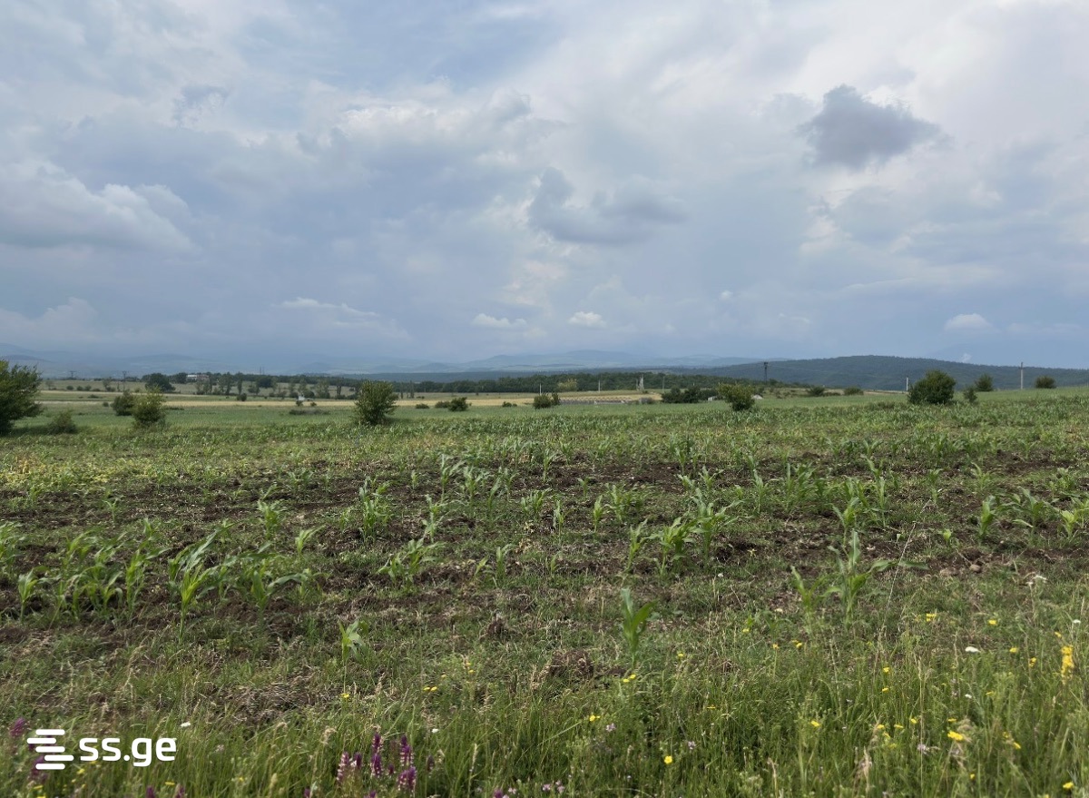 Продажа Земля в базалети view 3