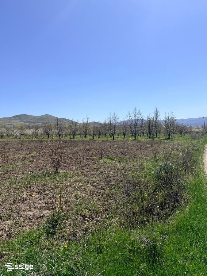Land For Sale. Gori, 4 of 4
