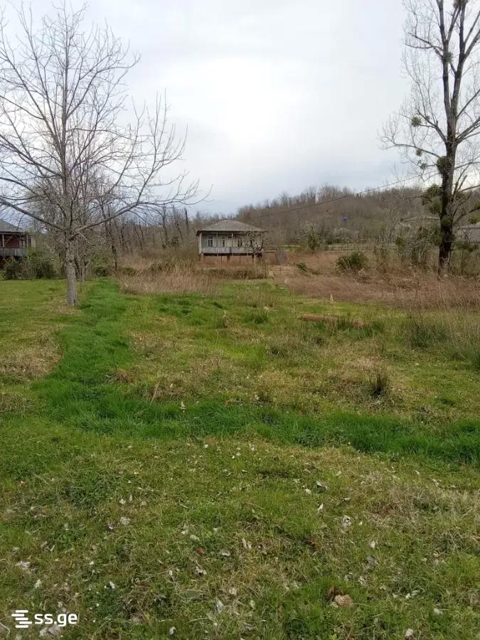 Land For Sale. Telavi, 1 of 1